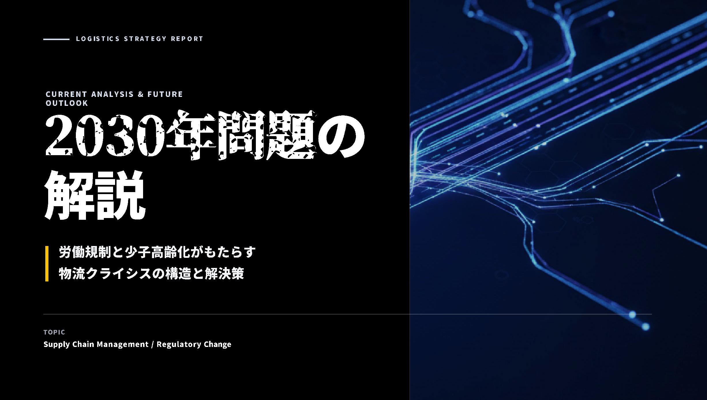 2030年問題の解説